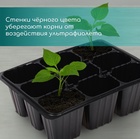 Кассета для рассады, 9 ячеек по 80 мл, пластик, чёрная, 18×13×6 см, Greengo - Фото 3