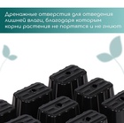 Кассета для рассады, 9 ячеек по 80 мл, пластик, чёрная, 18 × 13 × 6 см, Greengo 1986207 - фото 2179311