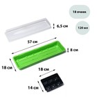 Мини - парник для рассады, 57×18×12 см, 3 вставки, 18 ячеек по 125 мл, пластик, Greengo - Фото 2