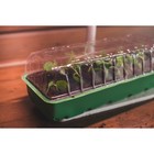 Мини - парник для рассады, 57×18×12 см, 3 вставки, 18 ячеек по 125 мл, пластик, Greengo - Фото 9