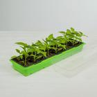 Мини - парник для рассады, 57×18×12 см, 3 вставки, 18 ячеек по 125 мл, пластик, Greengo - Фото 8