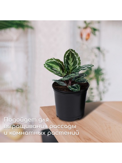 Горшок для рассады, 1 л, d=13 см, h=10.5 см, чёрный, Greengo