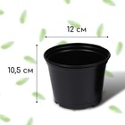Горшок для рассады, 750 мл, d = 12 см, h = 10,5 см, чёрный, Greengo - Фото 2
