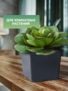 Горшок для рассады, 180 мл, 7×7×6.5 см, чёрный, Greengo - Фото 4
