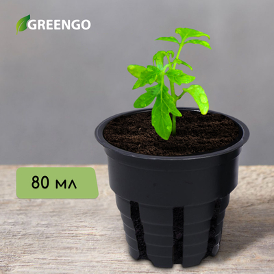 Горшок для рассады, 80 мл, d=6 см, h=5 см, чёрный, Greengo