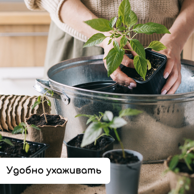 Набор для рассады: стаканы по 320 мл (18 шт.), поддон 51×26 см, Greengo