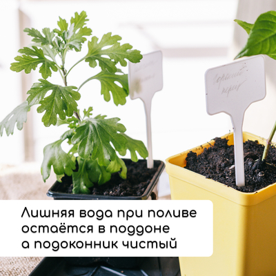 Набор для рассады: стаканы по 320 мл (18 шт.), поддон 51×26 см, Greengo