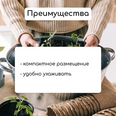 Набор для рассады: стаканы по 320 мл (18 шт.), поддон 51×26 см, Greengo