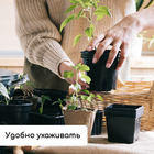 Набор для рассады: стаканы по 500 мл (8 шт.), поддон 40×20 см, чёрный, Greengo - Фото 5