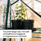 Набор для рассады: стаканы по 500 мл (8 шт.), поддон 40×30 см, чёрный, Greengo - Фото 5