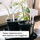 Набор для рассады: стаканы по 500 мл (8 шт.), поддон 40×30 см, чёрный, Greengo - Фото 6