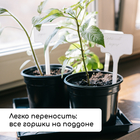Набор для рассады: стаканы по 500 мл (8 шт.), поддон 40×20 см, чёрный, Greengo - Фото 7