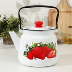 Чайник эмалированный, 3,5 л, рисунок МИКС - Фото 1