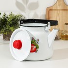 Чайник эмалированный, 3,5 л, рисунок МИКС - Фото 2