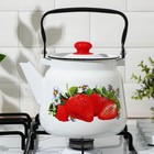 Чайник эмалированный, 3,5 л, рисунок МИКС - Фото 5