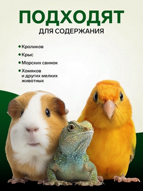 Опилки «Зверьё моё», классик, 20 л