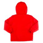 Куртка для мальчика "Морская", рост 128 см (32), цвет красный ДД-0614 - Фото 11