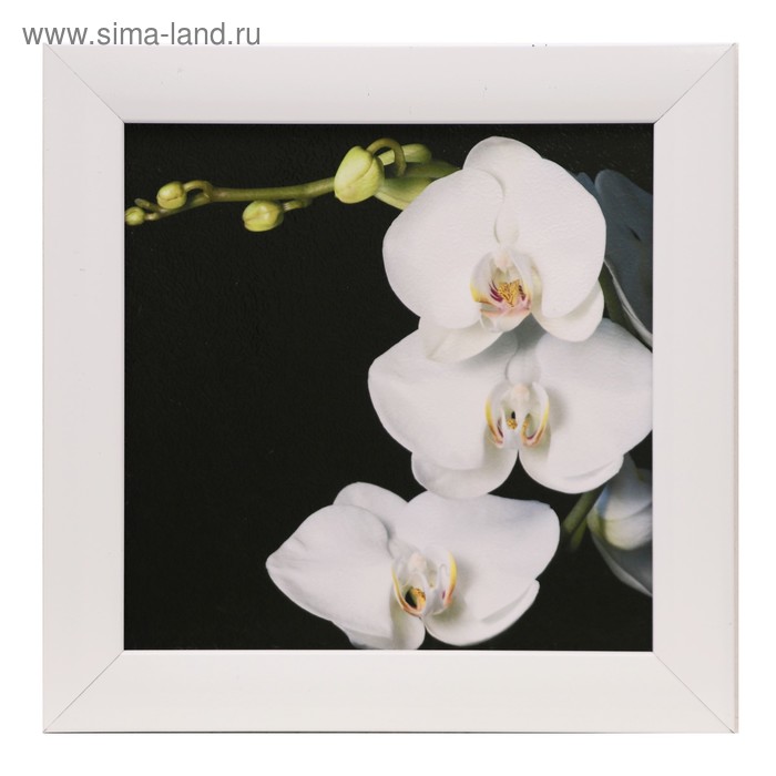 Картина "Белая орхидея"20х20 см рамка микс - Фото 1