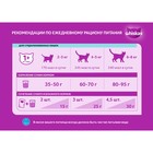 Сухой корм Whiskas для стерилизованных кошек, курица, 5 кг 2099826 - фото 13204009