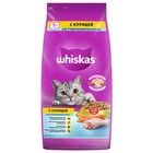 Сухой корм Whiskas для стерилизованных кошек, курица, 5 кг 2099826 - фото 13204011