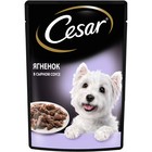 Влажный корм Cesar для собак, ягненок в сырном соусе, пауч, 85 г - Фото 10