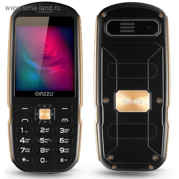 Сотовый телефон GINZZU R1D, черный - Фото 1