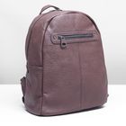 Рюкзак молодёжный на молнии, 1 отдел, 3 наружных кармана, цвет коричневый - Фото 2