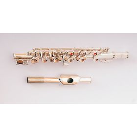 

Флейта Пикколо Conductor FLT-PC-S
