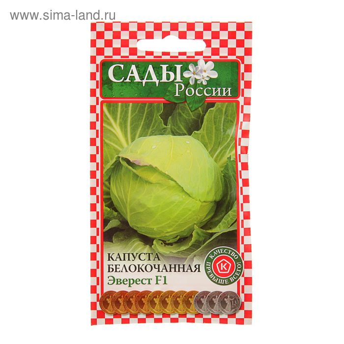 Семена Капуста б/к Чамп F1: описание сорта, фото - купить с доставкой или почтой