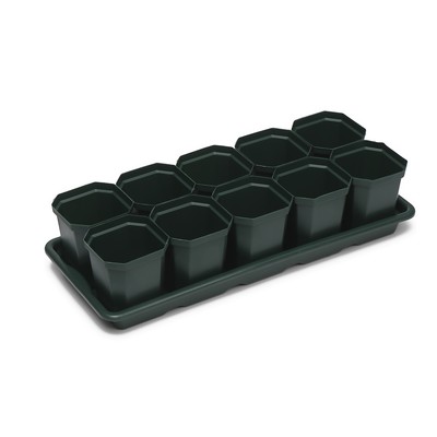 Набор для рассады: стаканы по 300 мл (10 шт.), поддон 41×17 см, цвет МИКС