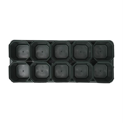 Набор для рассады: стаканы по 300 мл (10 шт.), поддон 41×17 см, цвет МИКС