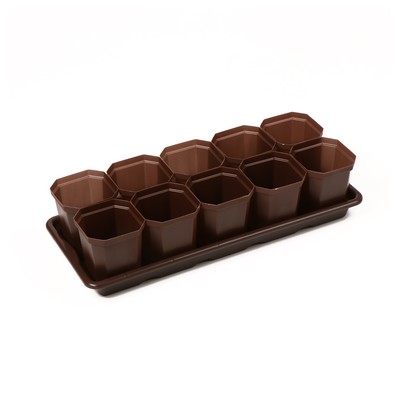 Набор для рассады: стаканы по 300 мл (10 шт.), поддон 41×17 см, цвет МИКС