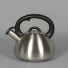 Чайник со свистком Virga, 2,8 л - Фото 1
