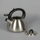 Чайник со свистком Virga, 2,8 л - Фото 2