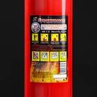 Огнетушитель углекислотный ОУ-3 ВСЕ - Фото 2