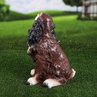 Садовая фигура "Спаниель", разноцветная, гипс, 36 см - Фото 3
