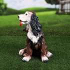 Садовая фигура "Спаниель", разноцветная, гипс, 36 см - Фото 4