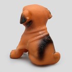Игрушка пищащая "Маленький друг" для собак, бульдог, 9 см, тёмно-коричневая - фото 8309757