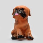 Игрушка пищащая "Маленький друг" для собак, бульдог, 9 см, тёмно-коричневая - фото 8309758