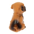 Игрушка пищащая "Маленький друг" для собак, бульдог, 9 см, тёмно-коричневая - фото 8309759