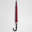 Зонт полуавтоматический «Однотонный», 10 спиц, R = 56 см, цвет бордовый/серебряный - Фото 5