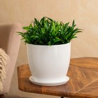 Горшок для цветов "Осень", глянец, белый, керамика, 3 л - Фото 1