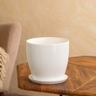 Горшок для цветов "Осень", глянец, белый, керамика, 3 л - Фото 2