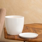 Горшок для цветов "Осень", глянец, белый, керамика, 3 л - Фото 3