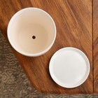 Горшок для цветов "Осень", глянец, белый, керамика, 3 л - Фото 4