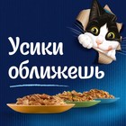 Влажный корм FELIX "Двойной вкус" для кошек, говядина/птица, пауч 85 г - Фото 4