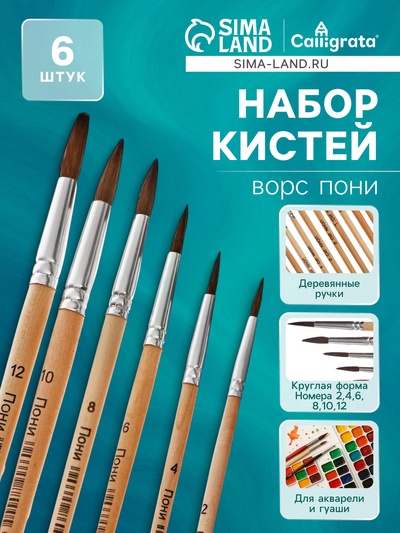 Набор кистей для рисования, пони, 6 штук: № 2, 4, 6, 8, 10, 12, круглые, деревянная ручка, международный размер