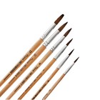 Набор кистей пони 6 штук (круглые:№ 2, 4, 6, 8, 10, 12), с деревянными ручками, на блистере - Фото 4