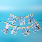 Гирлянда на ленте «Мне 1 год», с 12 карточками для фото, Микки Маус и друзья - Фото 4