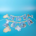 Гирлянда на ленте "Мне 1 год", с 12 карточками для фото, Микки Маус и друзья - Фото 7